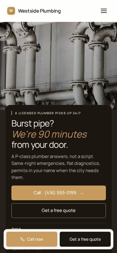 Plumbing website design, demo with placeholder content